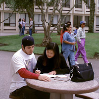 Skyline College image 8