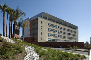 CSU Los Angeles