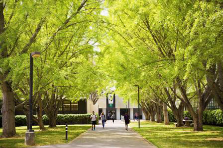 CSU Sacramento image 7