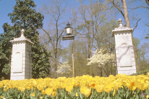 Emory University