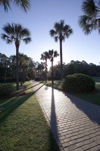 Valdosta State University