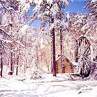 Berry College image 3