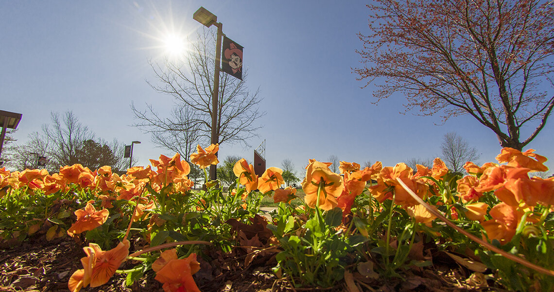 Oklahoma State University Institute of Technology image 1